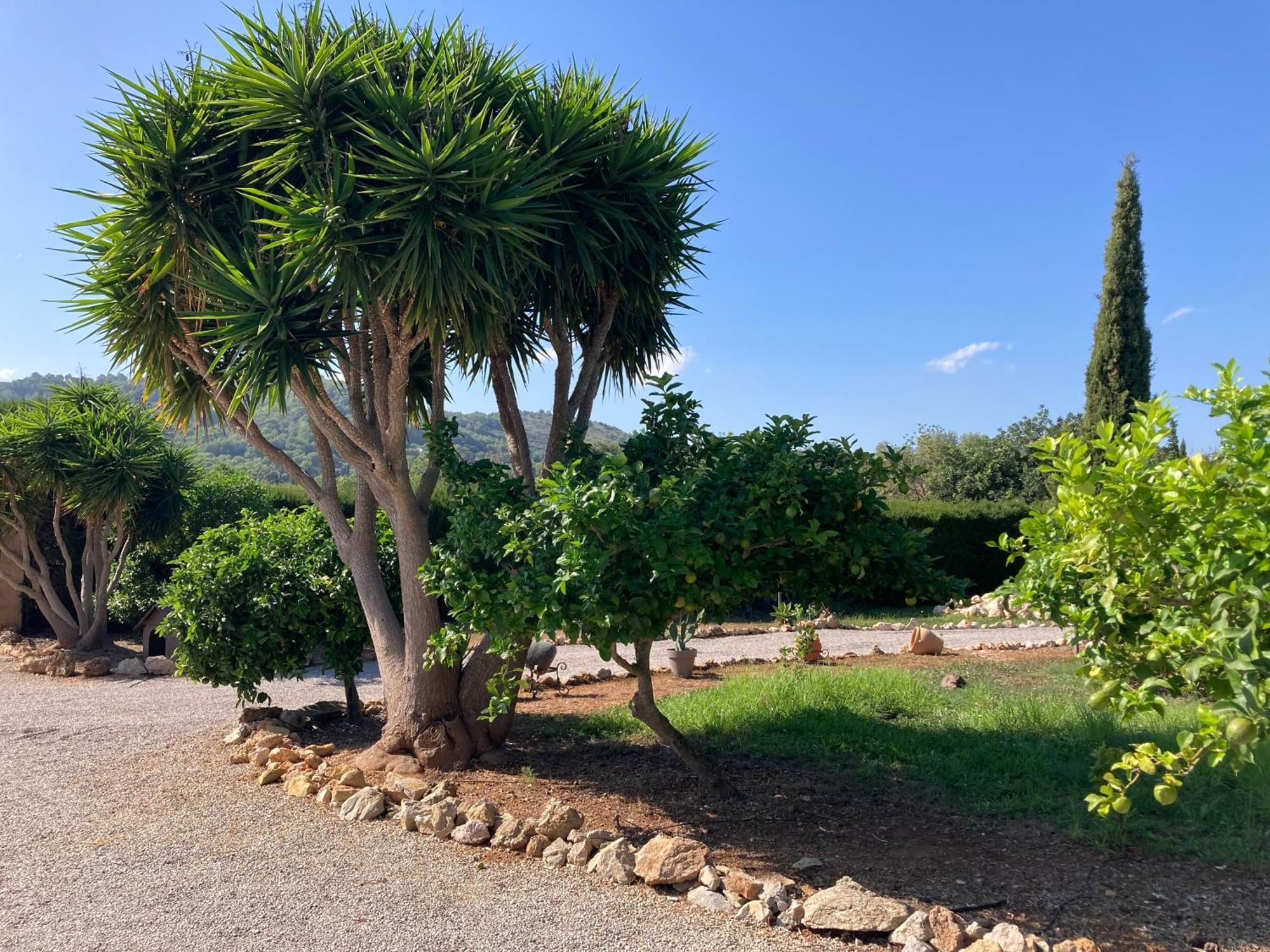 Вілла Casa Eden With Private Pool Арта Екстер'єр фото
